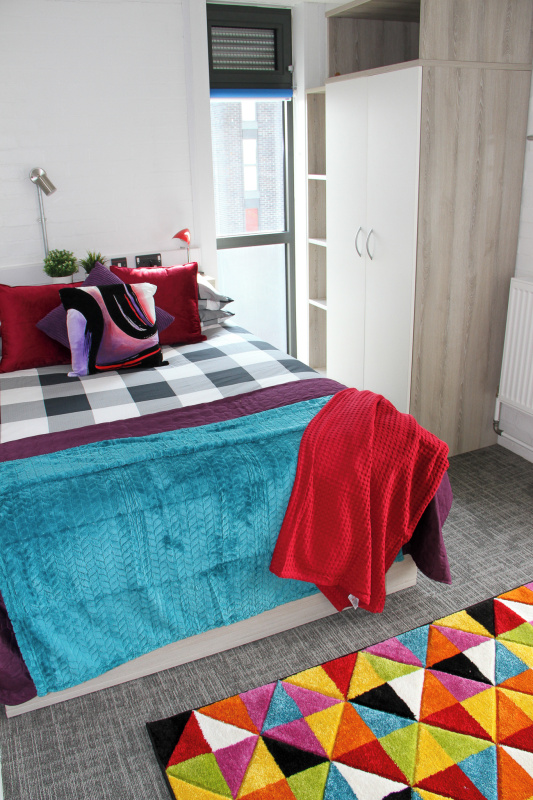 The Houses (single en-suite)