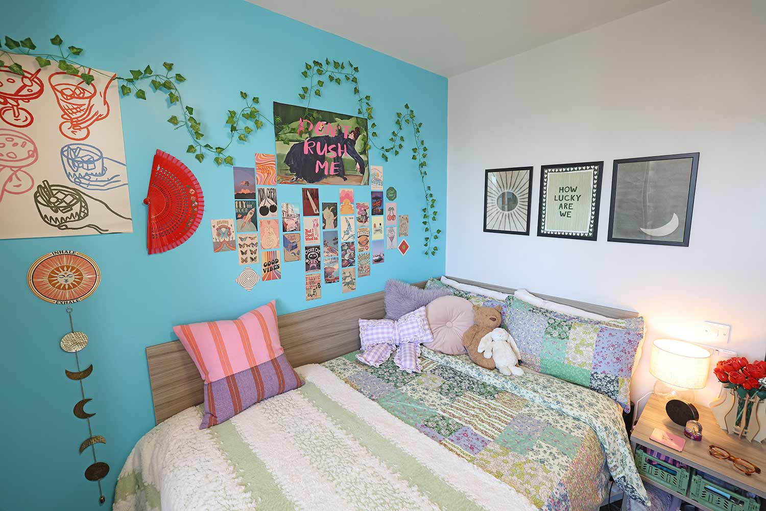 Greenbank Student Village (Premier room)