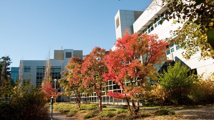Кампус University of Victoria